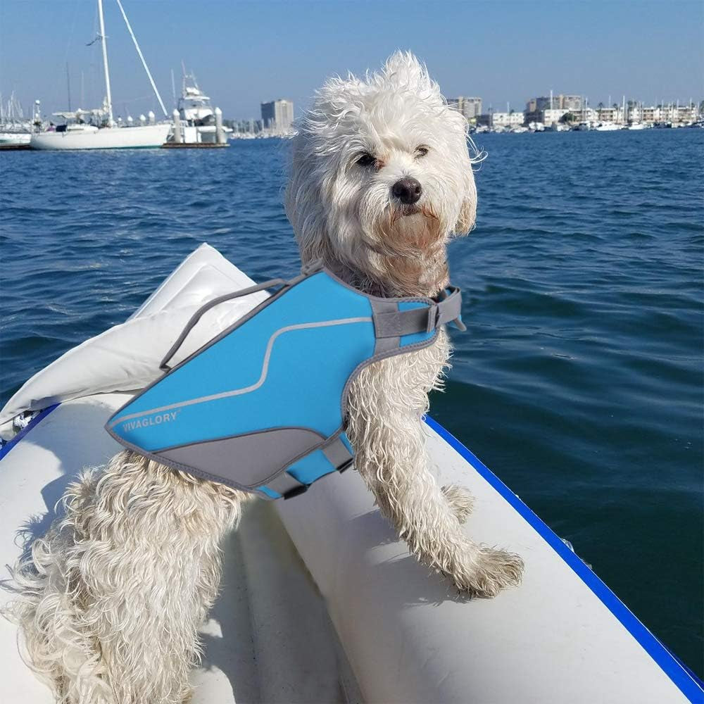 Life Jacket for Dogs of Sports Style, Water Vest Jacket for Dog, Heavy Duty Pet Safety Vest, Comfortable Neoprene Lifejackets with Hook & Loop Closure, Blue, Xsmall