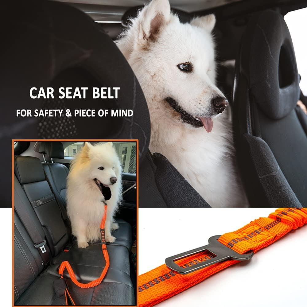 Zero Shock Bungee Training Heavy Duty Dog Leash for Large and Medium Dogs. Doubles as a Car Seat Belt with a Bonus of a Stylish Poop Waste Holder (Orange)