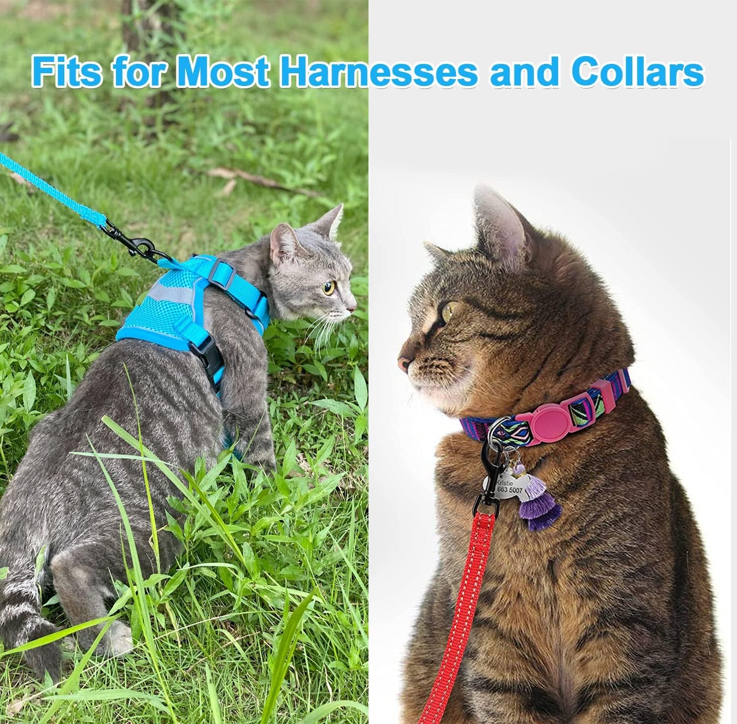 2 Pack Nylon Cat Leash, 5 FT Strong Durable Cat Leash for Walking Training, Reflective Pet Leash with Cat Seat Belt for Cats, Kitten, Kitty (Black, Turquoise)