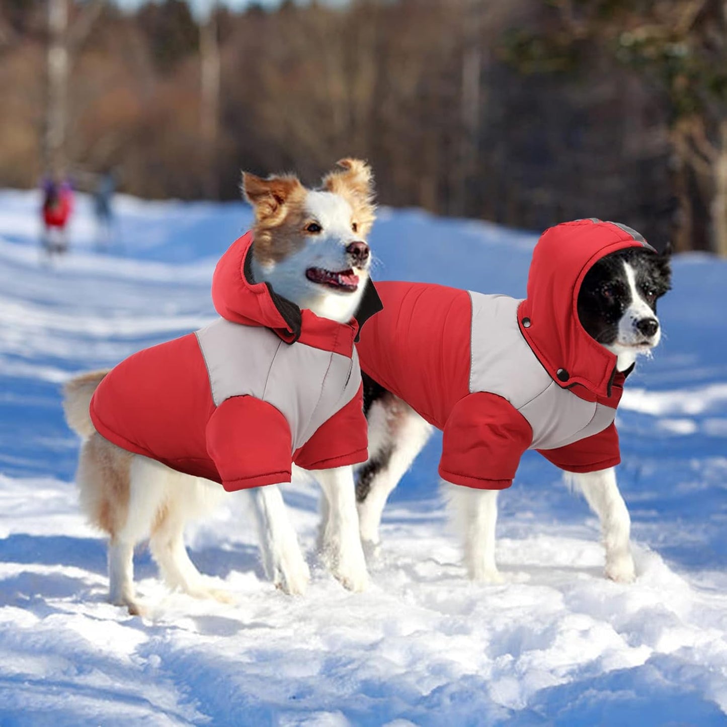 Dog Winter Jacket,Reflective Waterproof Dog Winter Coat Waterproof Warm Outdoor Fleece Cold Weather Coat with Detachable Hat,Pet Pullover Vest Outfit Clothes Apparel for Small Medium Large Dogs